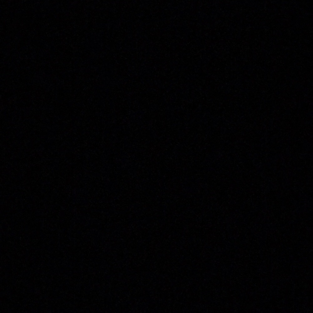 Meet your Posher, Delaney